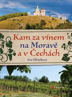 Kam za vínem na Moravě a v Čechách - Kniha