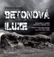 Betonová iluze: Polemika o realitě jednoho velkého snu - Kniha