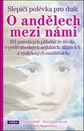 Slepičí polévka pro duši O andělech mezi námi: 101 pravdivých příběhů ze života, o podivuhodných set - Kniha