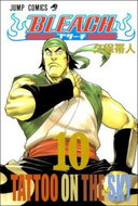 Bleach 10: Tattoo on the Sky - Kniha