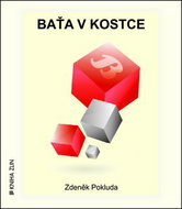 Baťa v kostce - Kniha