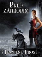 Před záhrobím: Noční lovci 5 - Kniha