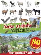 Naše zvířata: Velký rozkládací plakát, 80 samolepek - Kniha