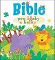 Bible pro kluky a holky - Kniha