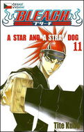 Bleach 11 - Kniha