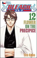 Bleach 12: Flower on the Precipice - Kniha