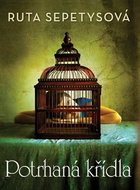 Potrhaná křídla - Kniha