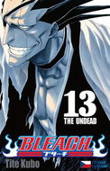 Bleach 13: The Undead - Kniha