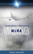 Mlha: Dosud nepublikovaná teorie o fenoménu Bermudského trojúhelníku - Kniha