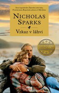 Vzkaz v láhvi - Kniha