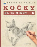 Naučte se kreslit Kočky za 15 minut - Kniha