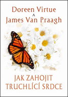 Jak zahojit truchlící srdce - Kniha
