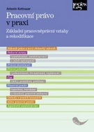 Pracovní právo v praxi: Základní pracovněprávní vztahy a rekodifikace - Kniha