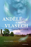 Andělé v mých vlasech: Skutečný příběh moderní irské mystičky - Kniha