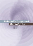 Můj labyrint - Kniha