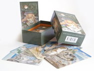 Kouzelný kočičí tarot: kniha a 78 karet - Kniha