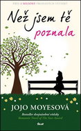 Než jsem tě poznala - Kniha