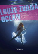 Louže zvaná oceán: převážně potápěčské povídky - Kniha