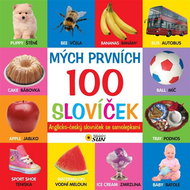 Mých prvních 100 slovíček: Anglicko-český slovníček se samolepkami - Kniha