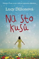 Na sto kusů: Příběh o tom, co je v životě opravdu důležité. - Kniha