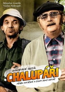 Legendární seriál Chalupáři: Příběh natáčení a osudy jeho hrdinů - Kniha