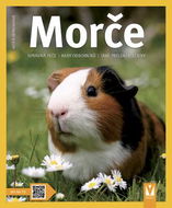 Morče - Kniha