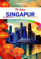 Singapur do kapsy - Kniha
