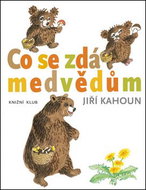 Co se zdá medvědům - Kniha