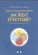 Cesta k trvalé prosperitě: Jak řídit efektivně? - Kniha