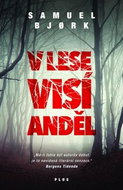 V lese visí anděl - Kniha