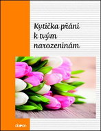 Kytička přání k Tvým narozeninám - Kniha