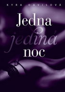 Jedna jediná noc - Kniha