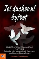 Jsi duchovní bytost - Kniha
