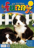 Funny English pre štvrtákov: Angličtina pre veselé deti - Kniha