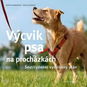 Výcvik psa na procházkách: Šestitýdenní tréninkový plán - Kniha