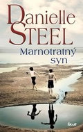 Marnotratný syn - Kniha