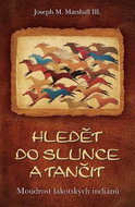 Hledět do slunce a tančit: Moudrost lakotských indiánů - Kniha
