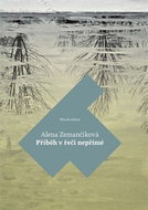 Příběh v řeči nepřímé - Kniha