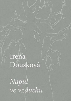 Napůl ve vzduchu - Kniha - Main image