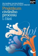 Praktikum civilního procesu 1. část - Kniha