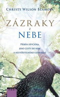 Zázraky z nebe - Kniha
