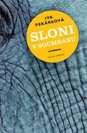 Sloni v soumraku - Kniha