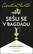 Sešli se v Bagdádu - Kniha