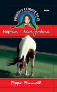 Neptun Kůň hrdina: 8. díl - Kniha