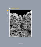 Noční hráč - Kniha