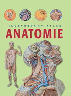 Anatomie Ilustrovaný atlas - Kniha