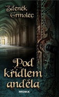 Pod křídlem anděla - Kniha