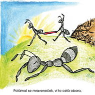 ORY Books Polámal se mraveneček - Leporelo