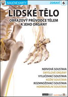 Naučné karty Lidské tělo: Zdraví 6 - Kniha