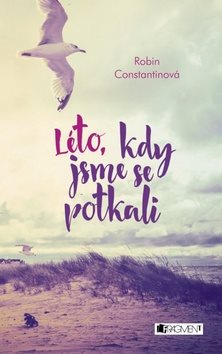 Léto, kdy jsme se potkali - Kniha - Main image